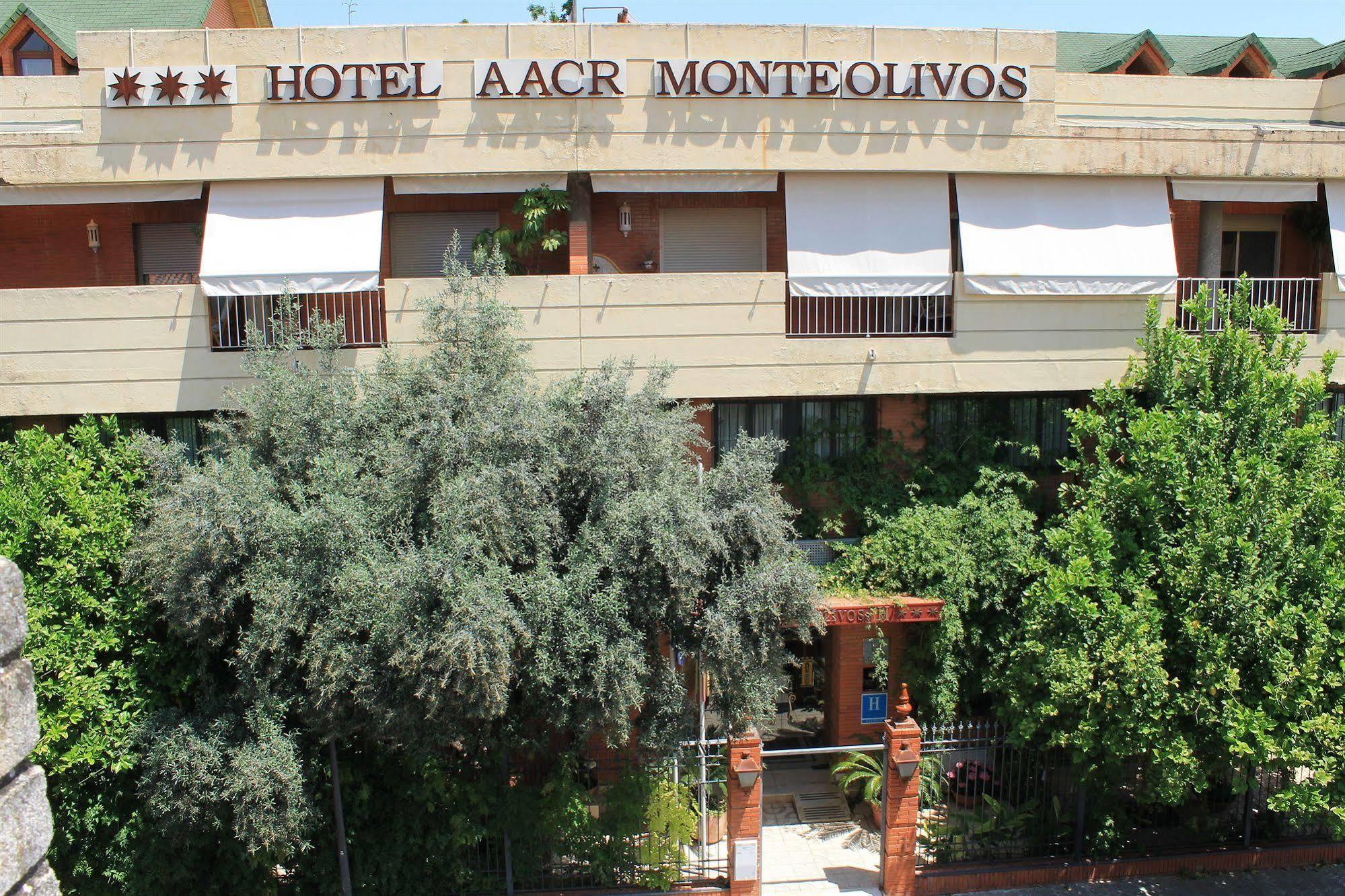 Aacr Hotel Monteolivos Sevilla Eksteriør bilde
